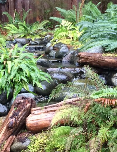 Babbling Brook with Logs and Fern Garden