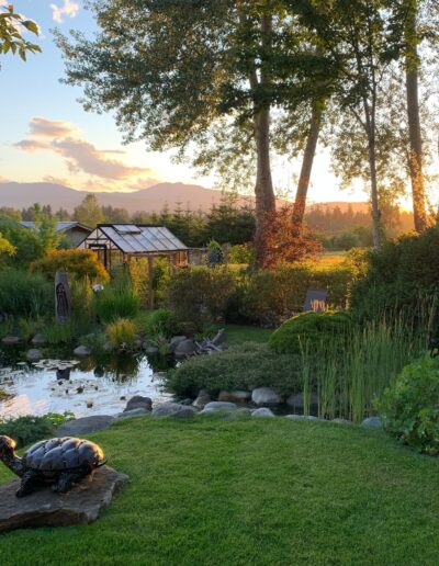 Garden Pond Sunset